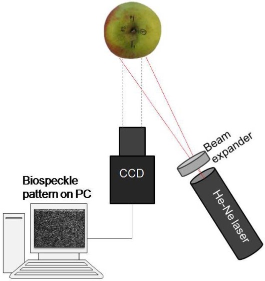 Figure 1.