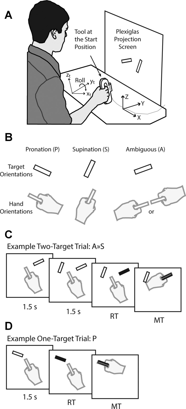 Fig. 1.