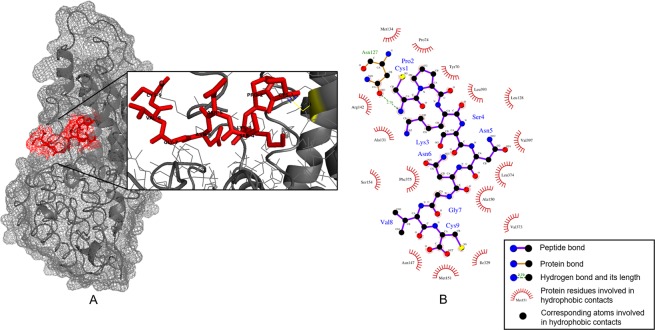 Figure 5