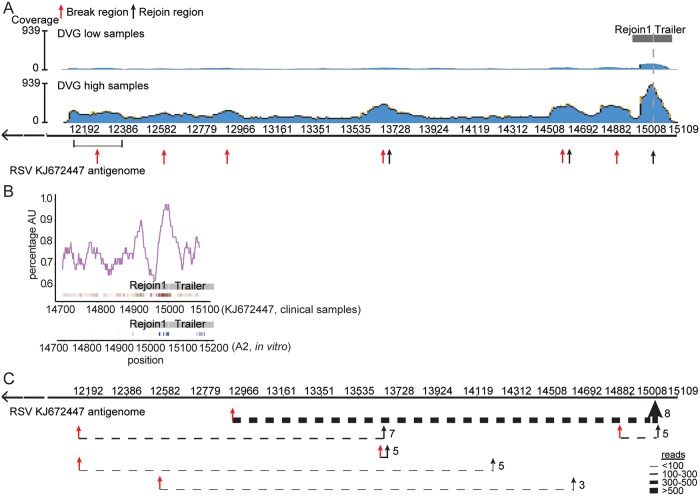 Fig 6