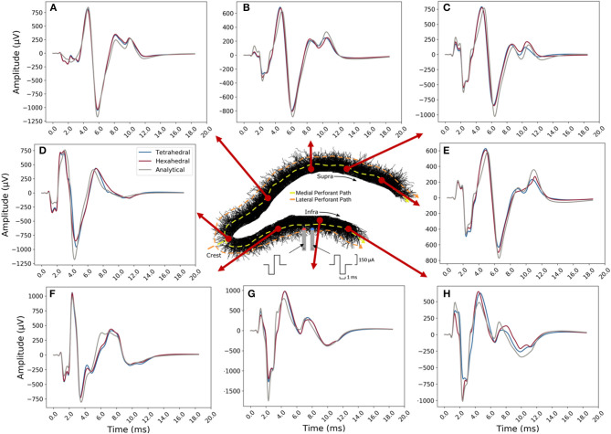 Figure 13