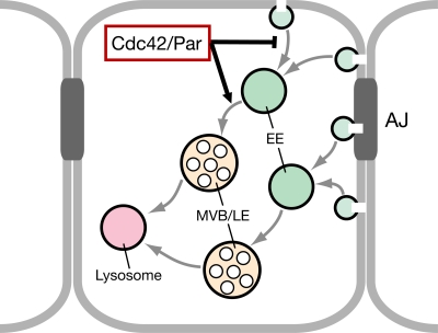 Figure 10.