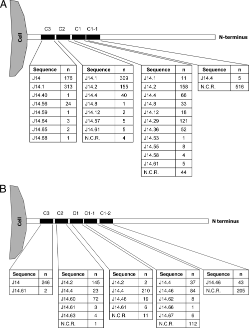 FIG. 2.