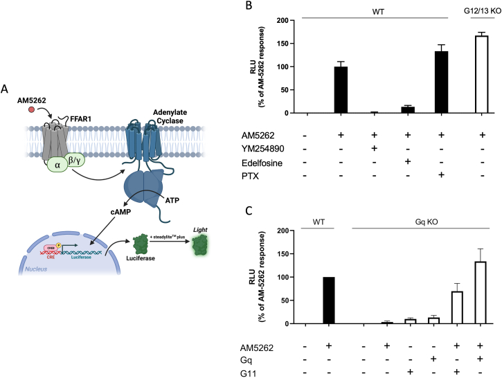 Figure 2