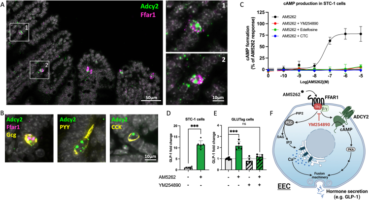 Figure 4