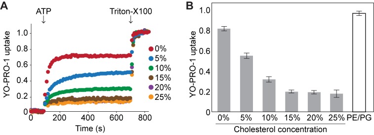 Figure 4.