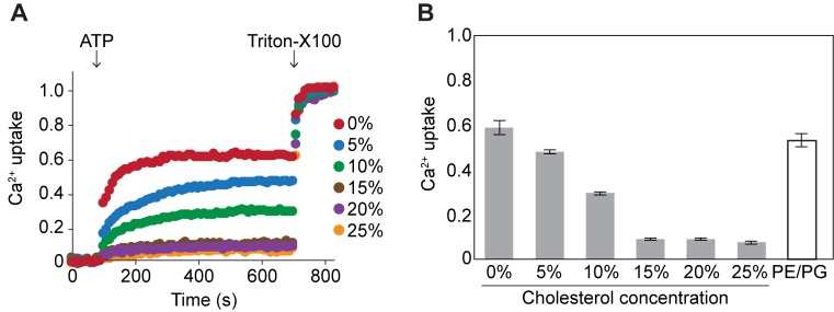 Figure 4—figure supplement 1.