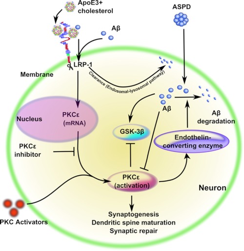 FIGURE 10.