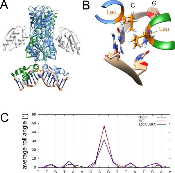 Fig 6