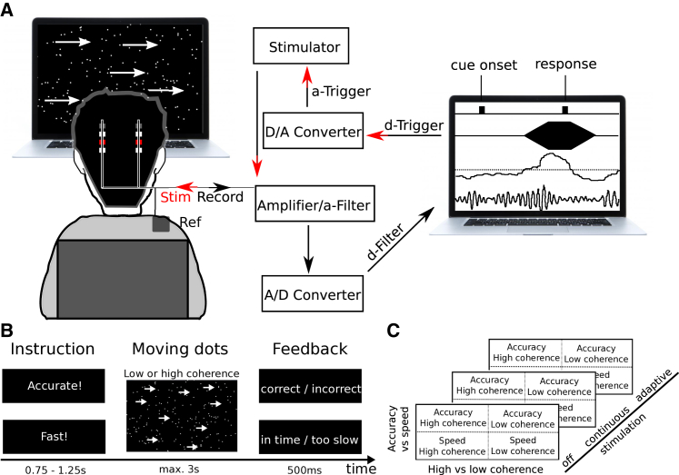 Figure 1