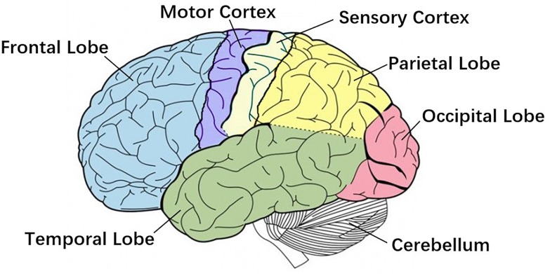 FIGURE 2