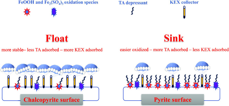 graphic file with name ao3c07539_0010.jpg