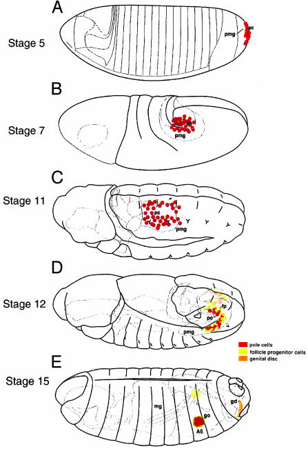 Fig. 1.