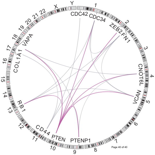 The emerging function and mechanism of ceRNAs in cancer - PMC