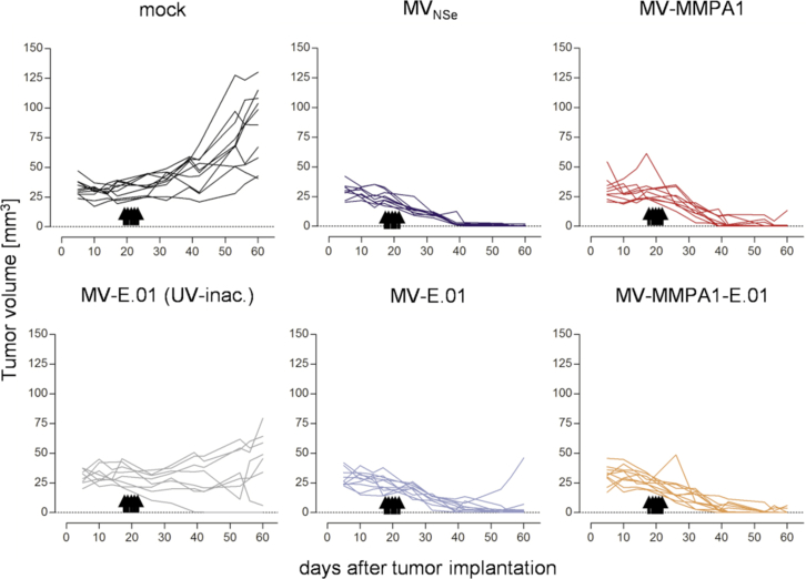 Figure 6