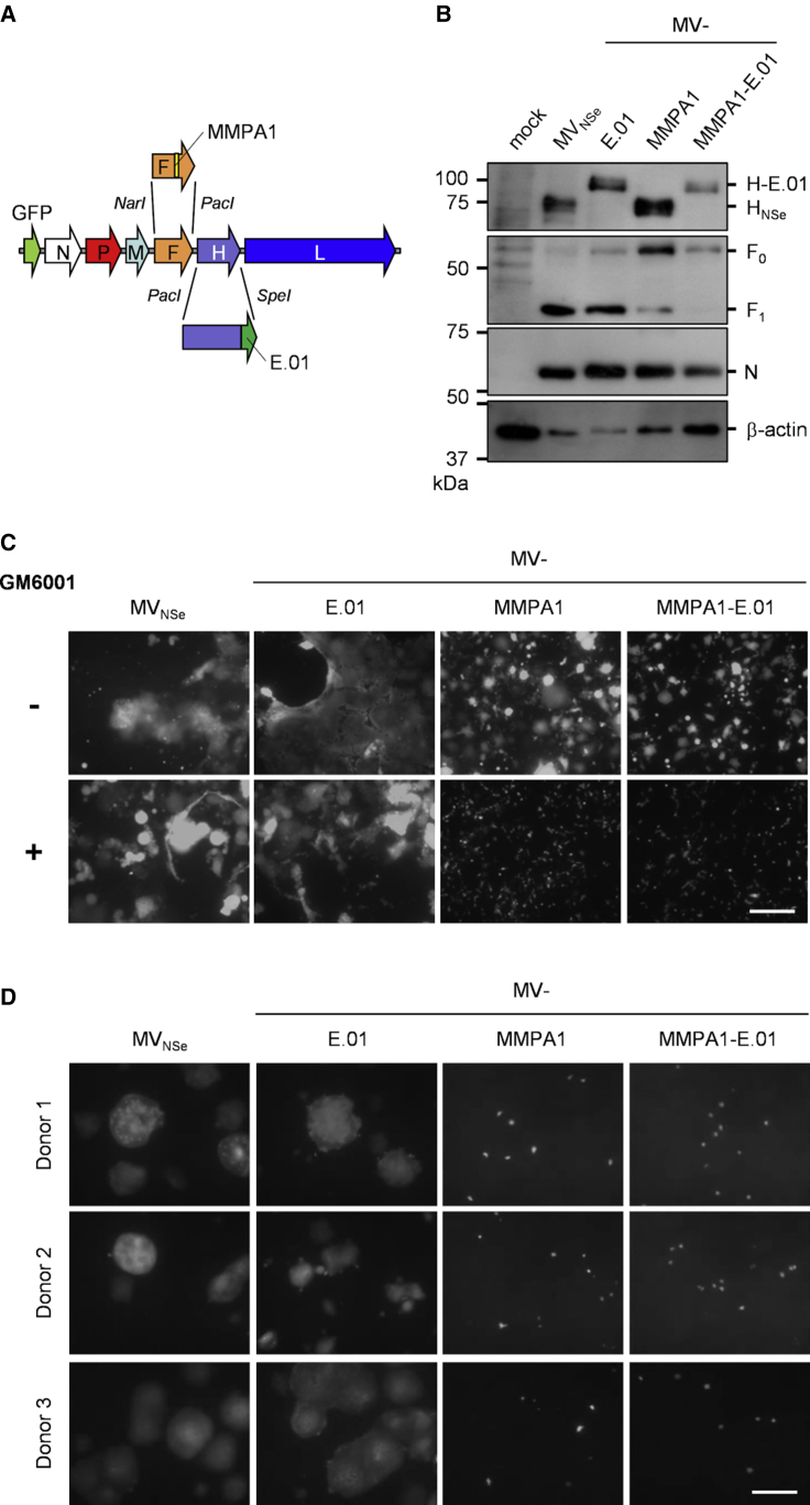 Figure 4