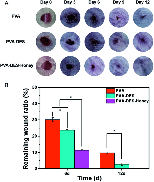 Fig. 8