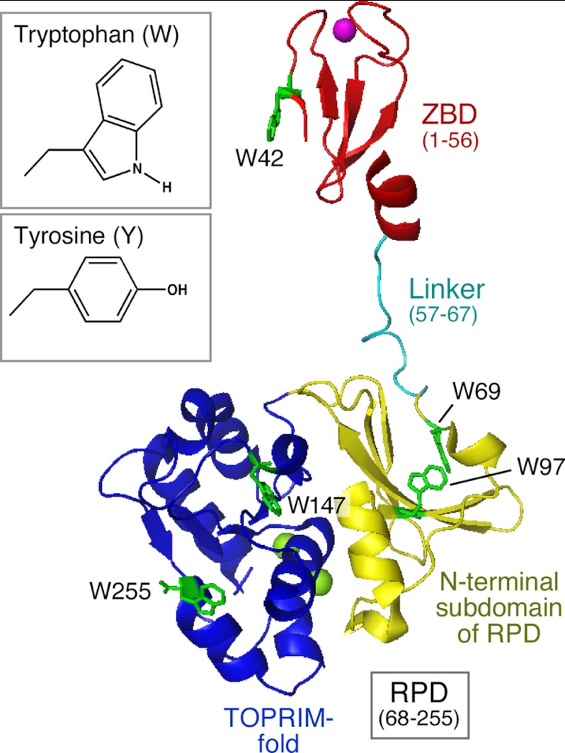 FIGURE 1.