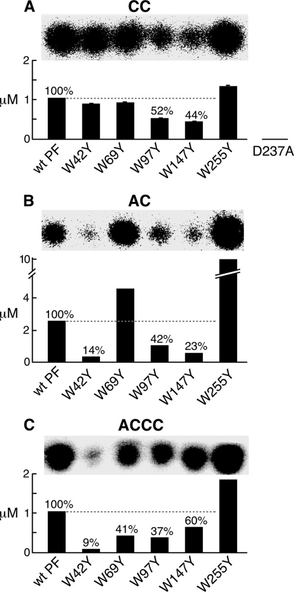 FIGURE 4.