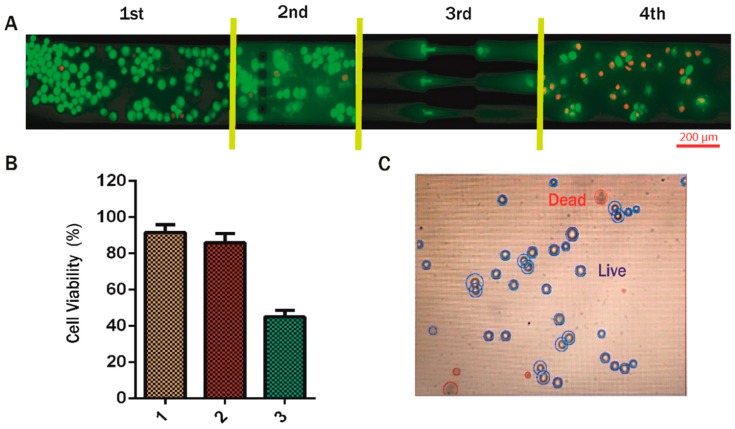 Figure 7