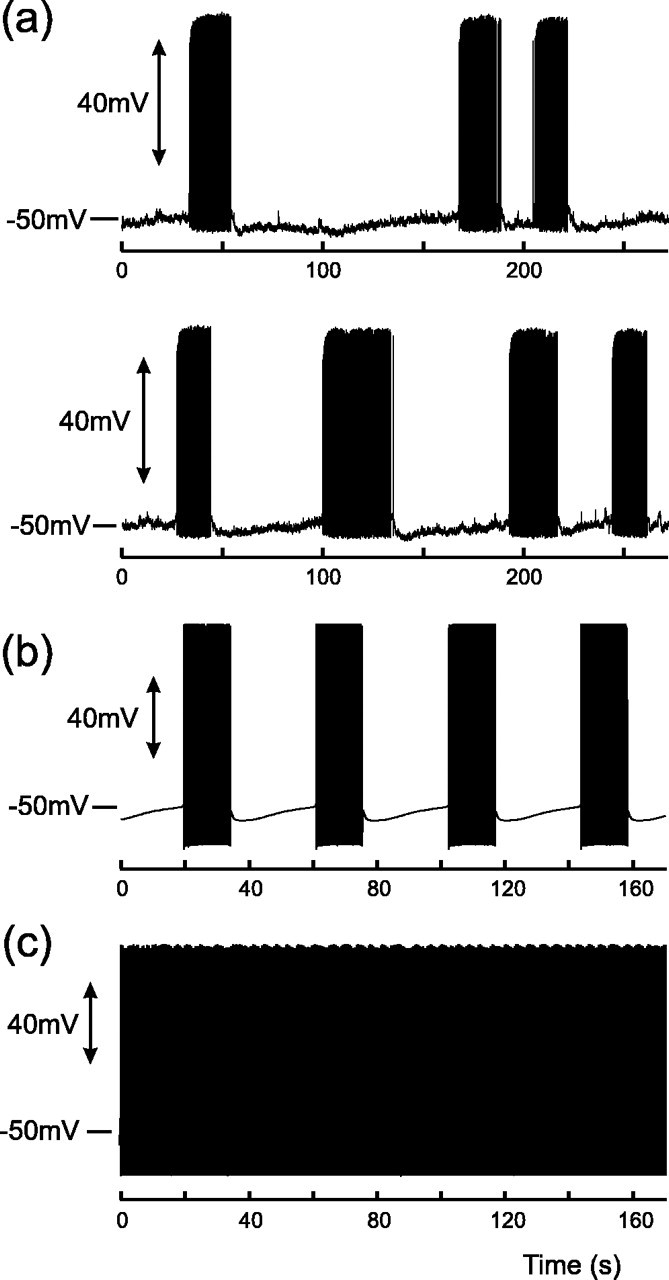 
Figure 11.
