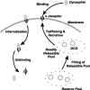 Figure 12.