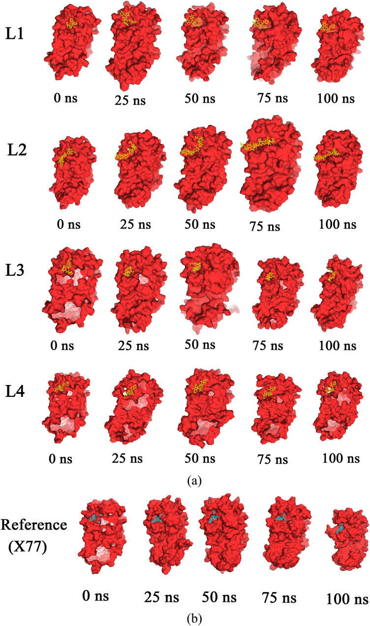 Figure 14.