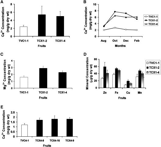 Figure 6.