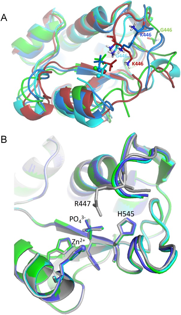 Figure 7