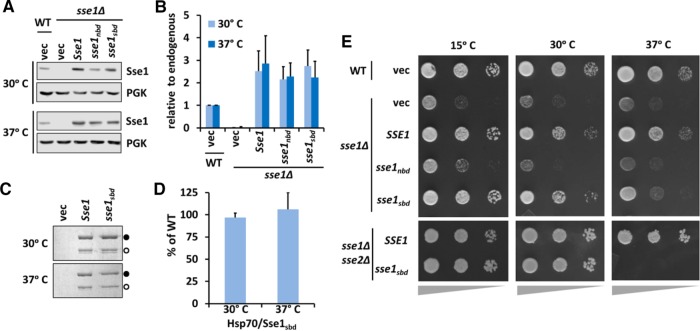 FIGURE 3: