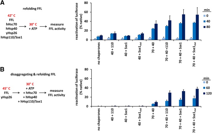 FIGURE 2: