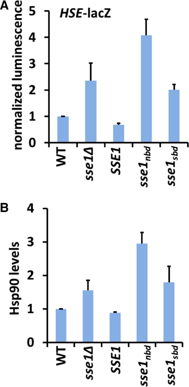 FIGURE 4: