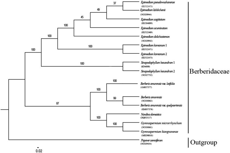 Figure 1.