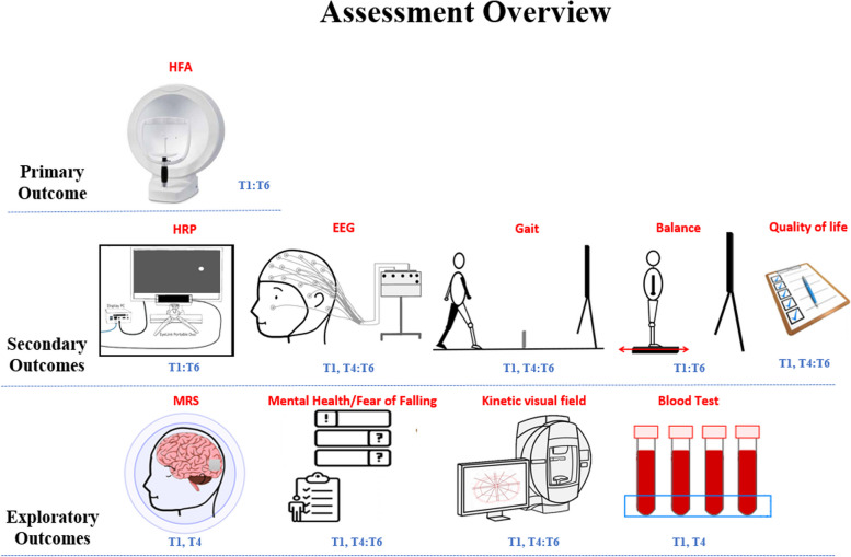 Fig. 3