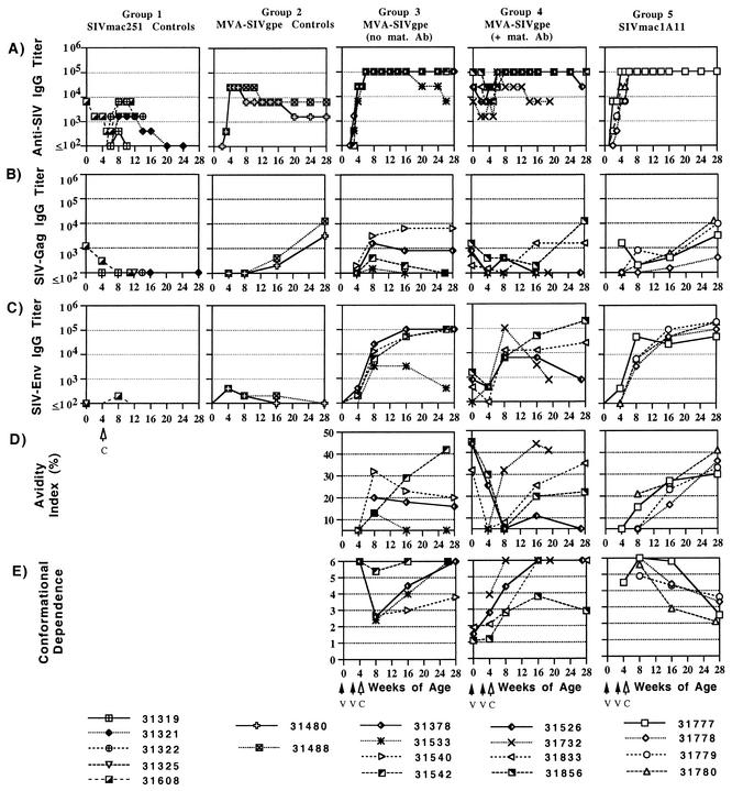 FIG. 3.