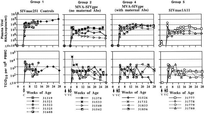 FIG. 2.