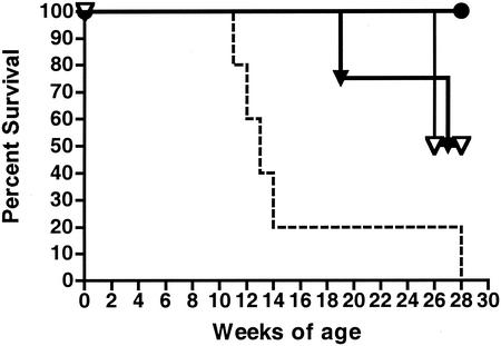 FIG. 1.