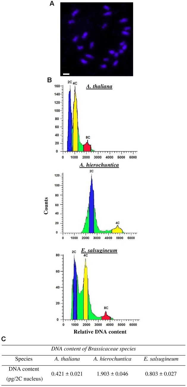 FIGURE 2