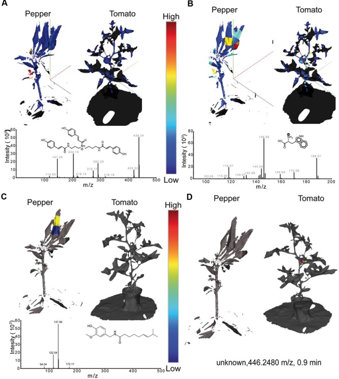 FIGURE 4