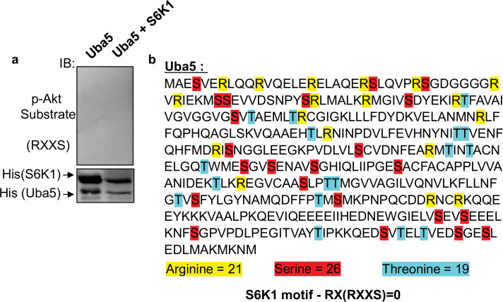 Figure 2—figure supplement 2.