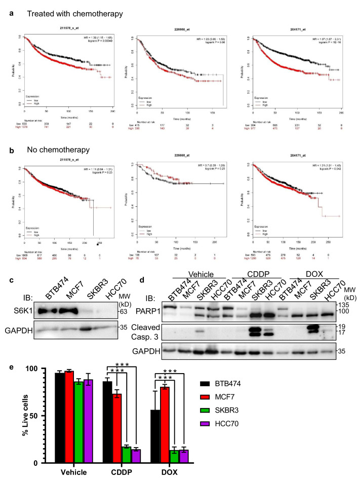 Figure 1—figure supplement 2.