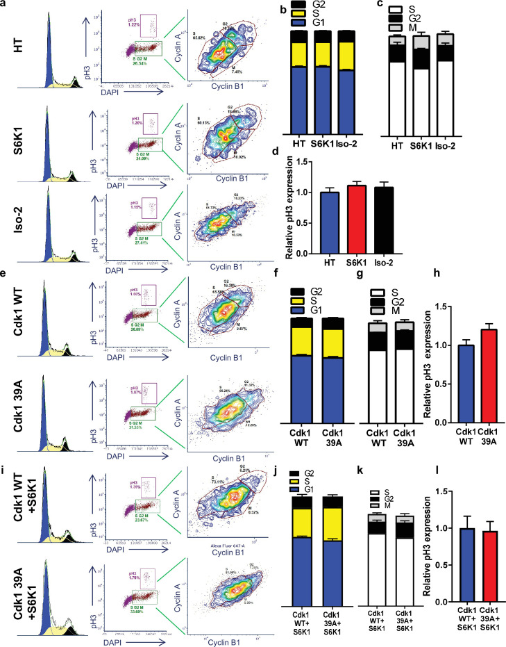 Figure 6—figure supplement 1.