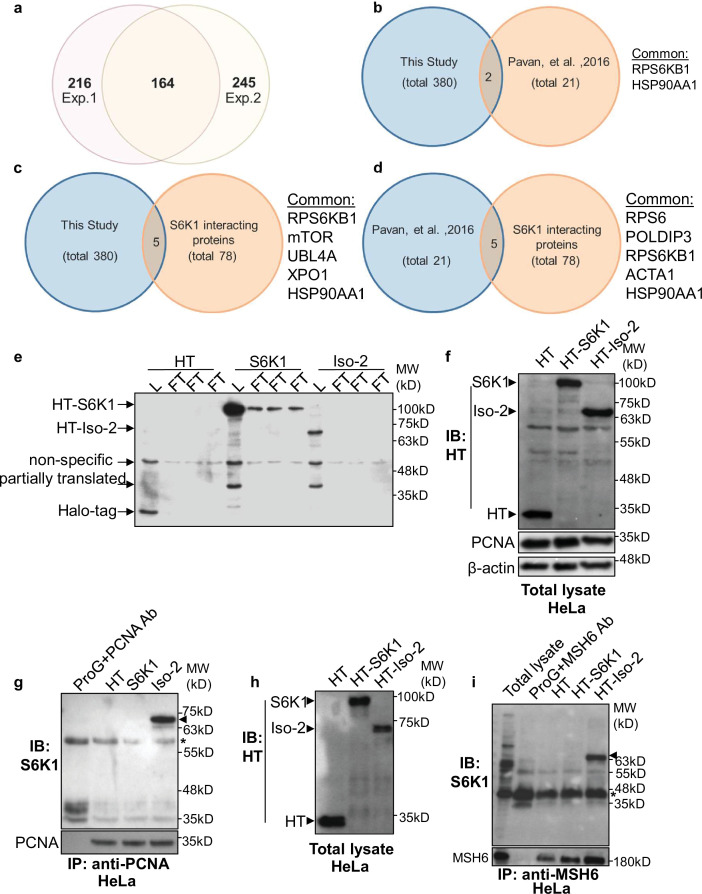 Figure 2—figure supplement 1.