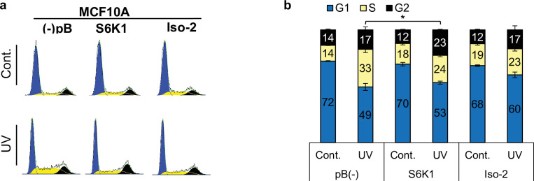 Figure 5—figure supplement 1.