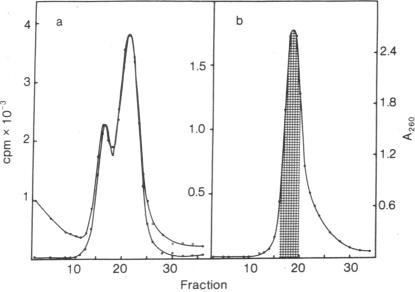 graphic file with name pnas00057-0506-a.jpg