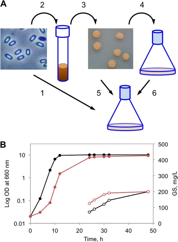 FIG 2