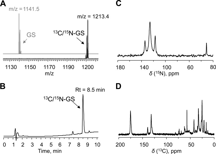 FIG 6