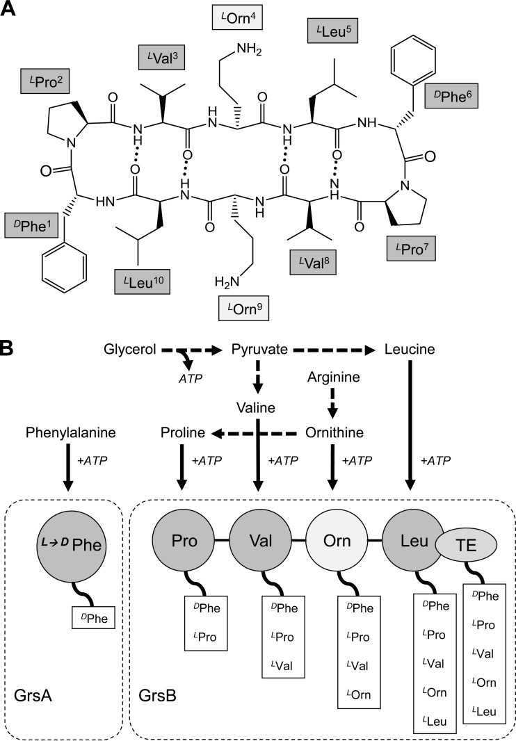 FIG 1