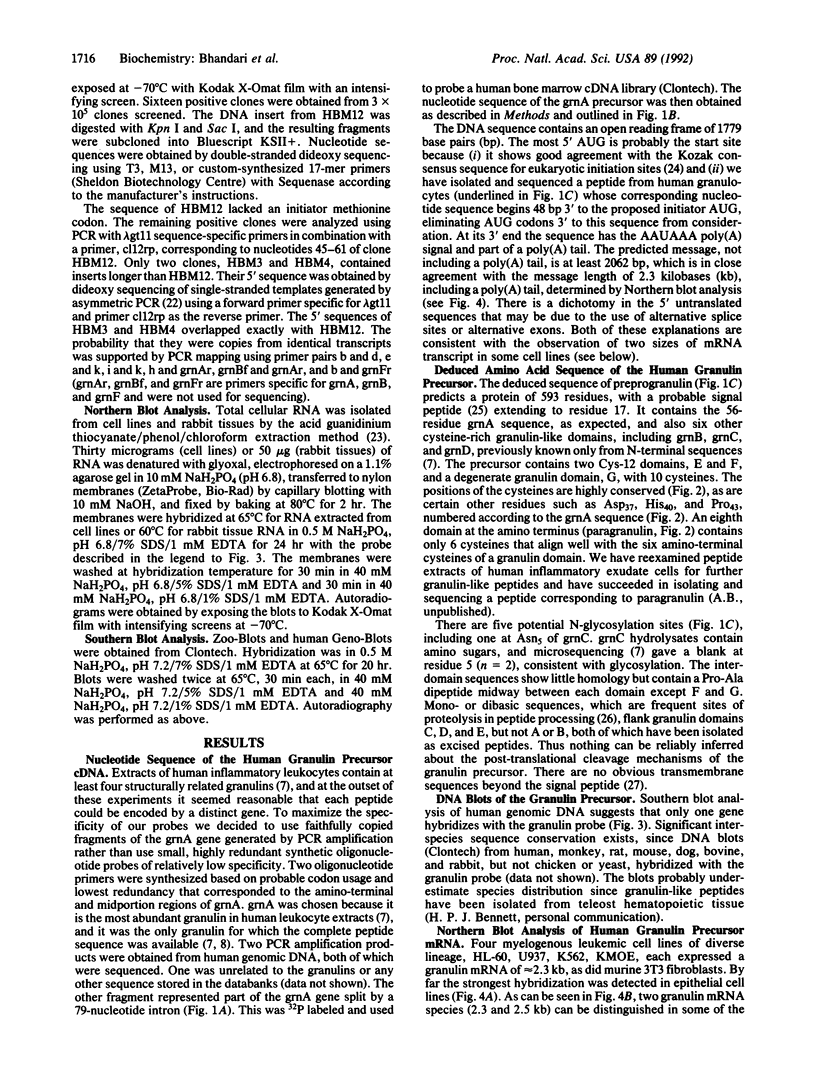 1716