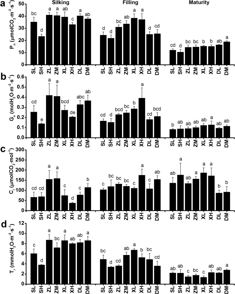 Fig. 3